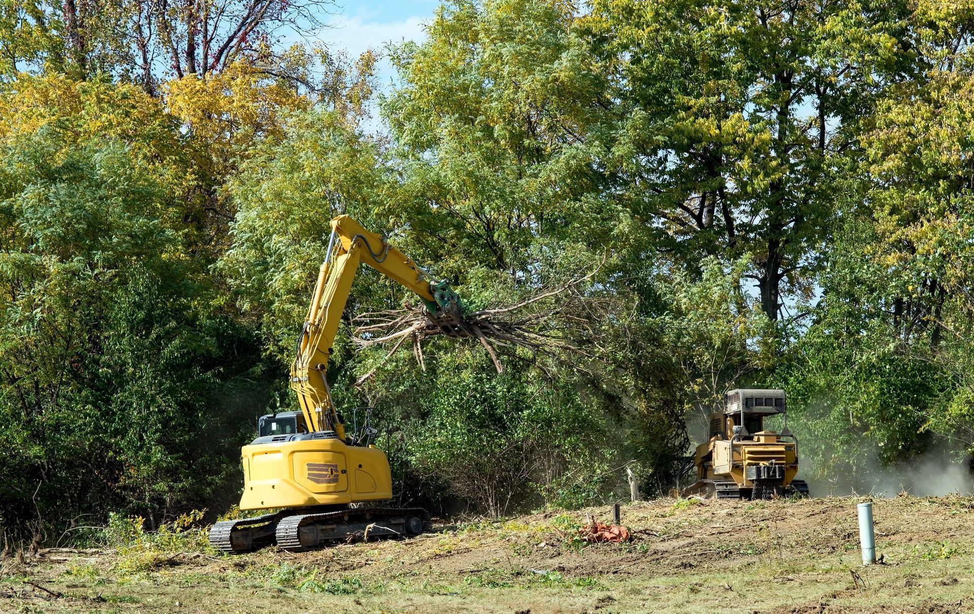 A yellow excavator is cutting down trees in a field.
