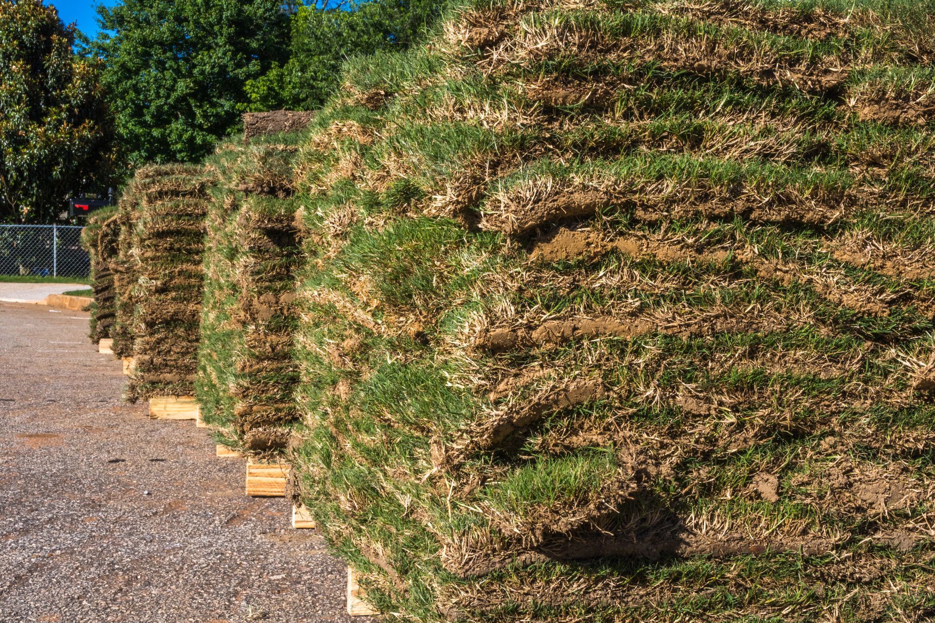 A pile of rolls of turf sitting on top of each other in a park.