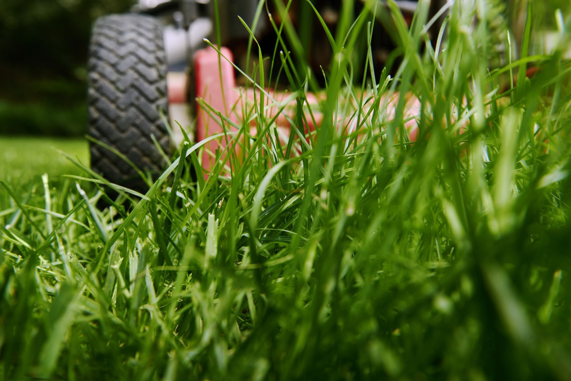 A person wearing gloves is rolling a roll of grass.