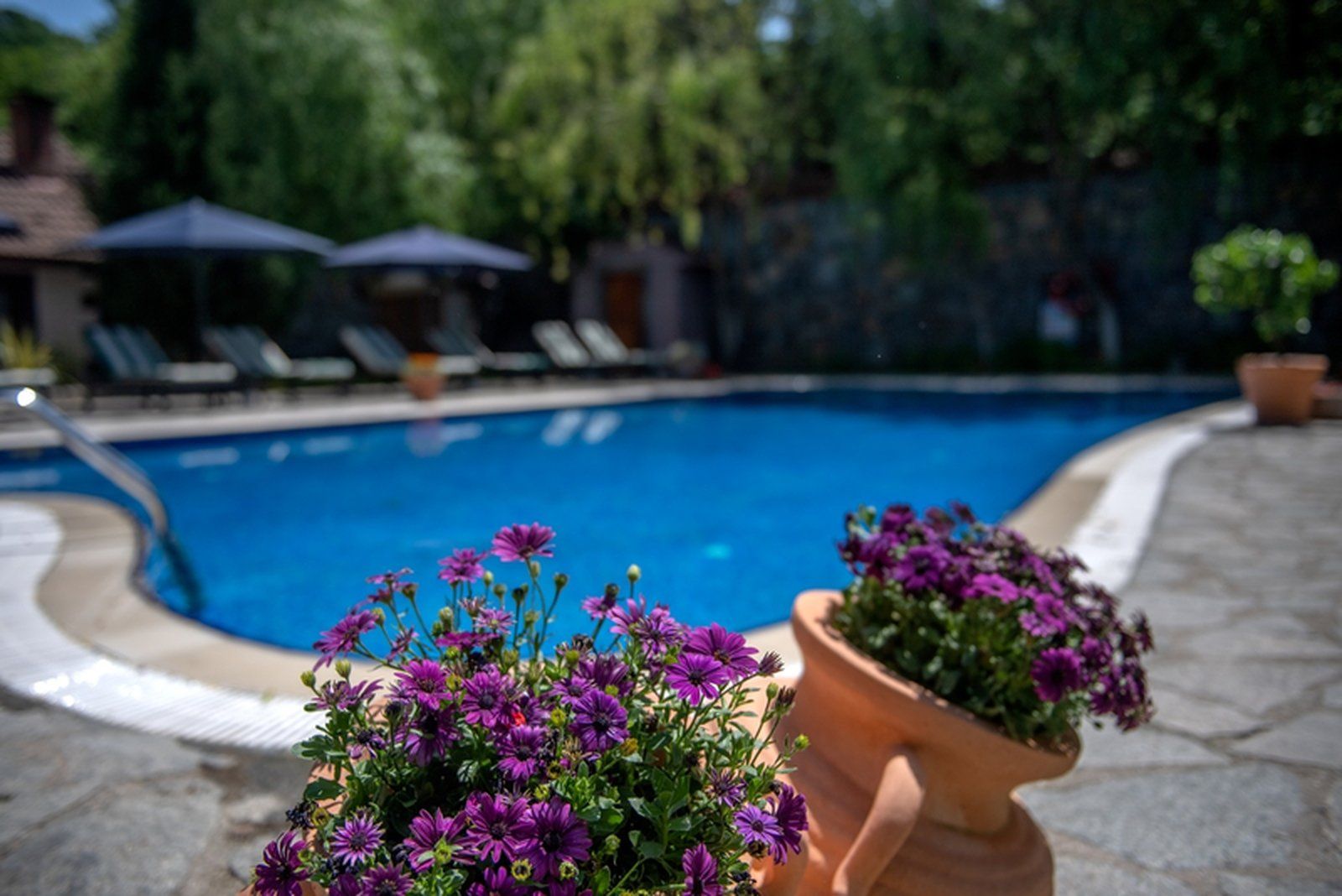 Ağva'nın en iyi  Romantik ve Toplantı Oteli