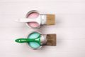 Two cans of paint and two paint brushes on a white wooden table.