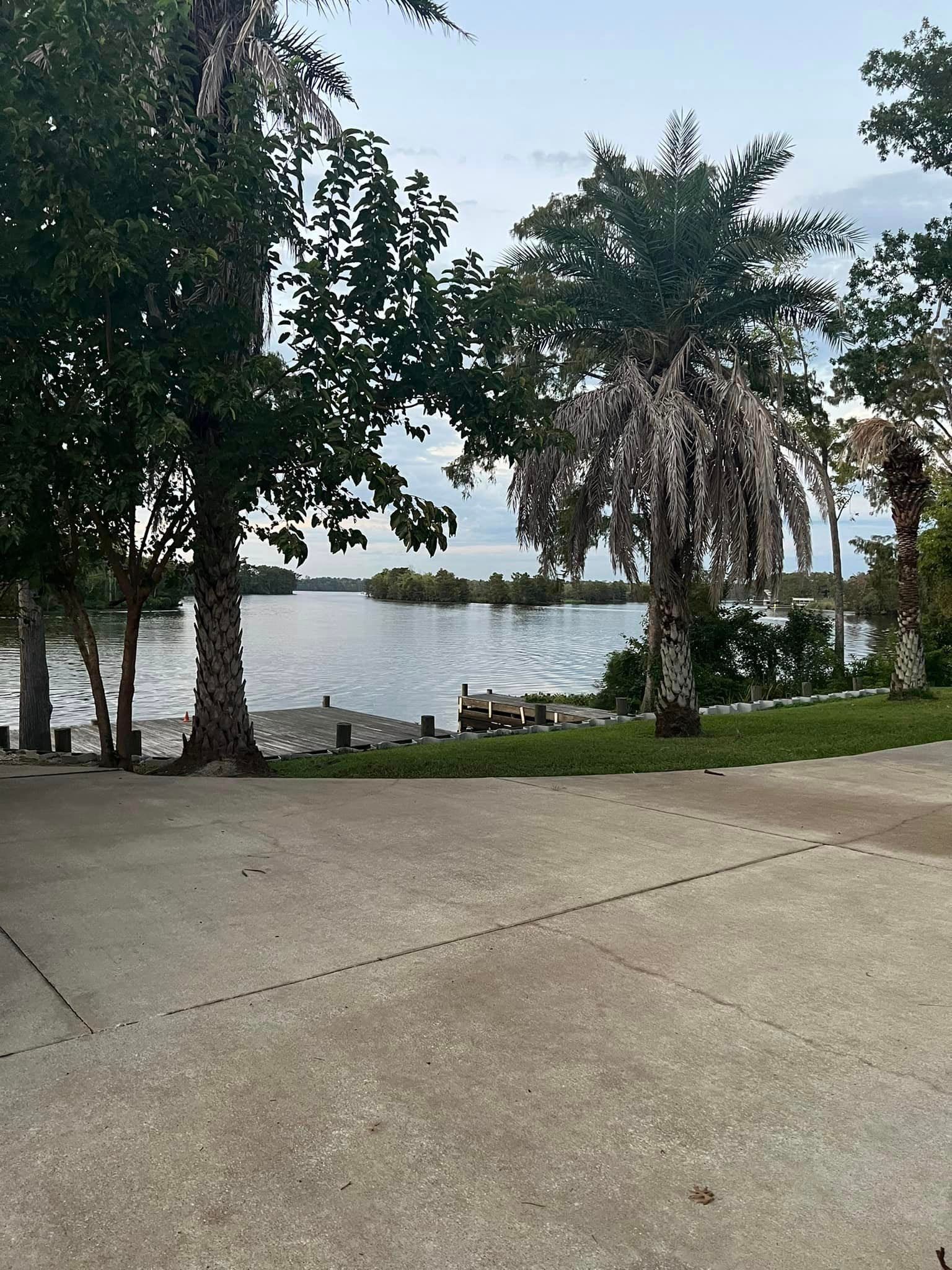 A view of a lake from a parking lot with palm trees.