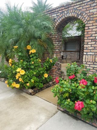 A brick wall with flowers and a palm tree in front of it.