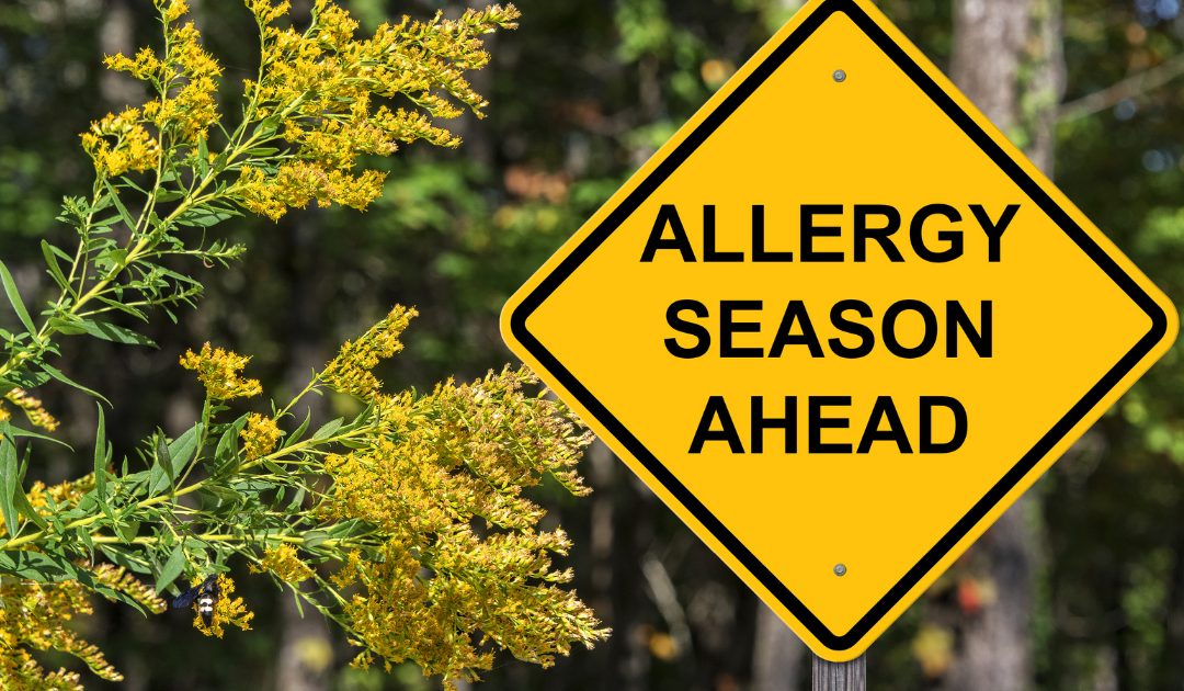 Allergy Season — Rogers, AR — Ozark Comprehensive Dentistry
