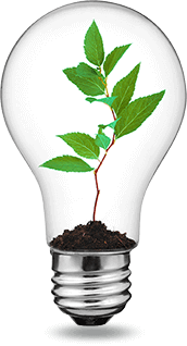 Sustainable future