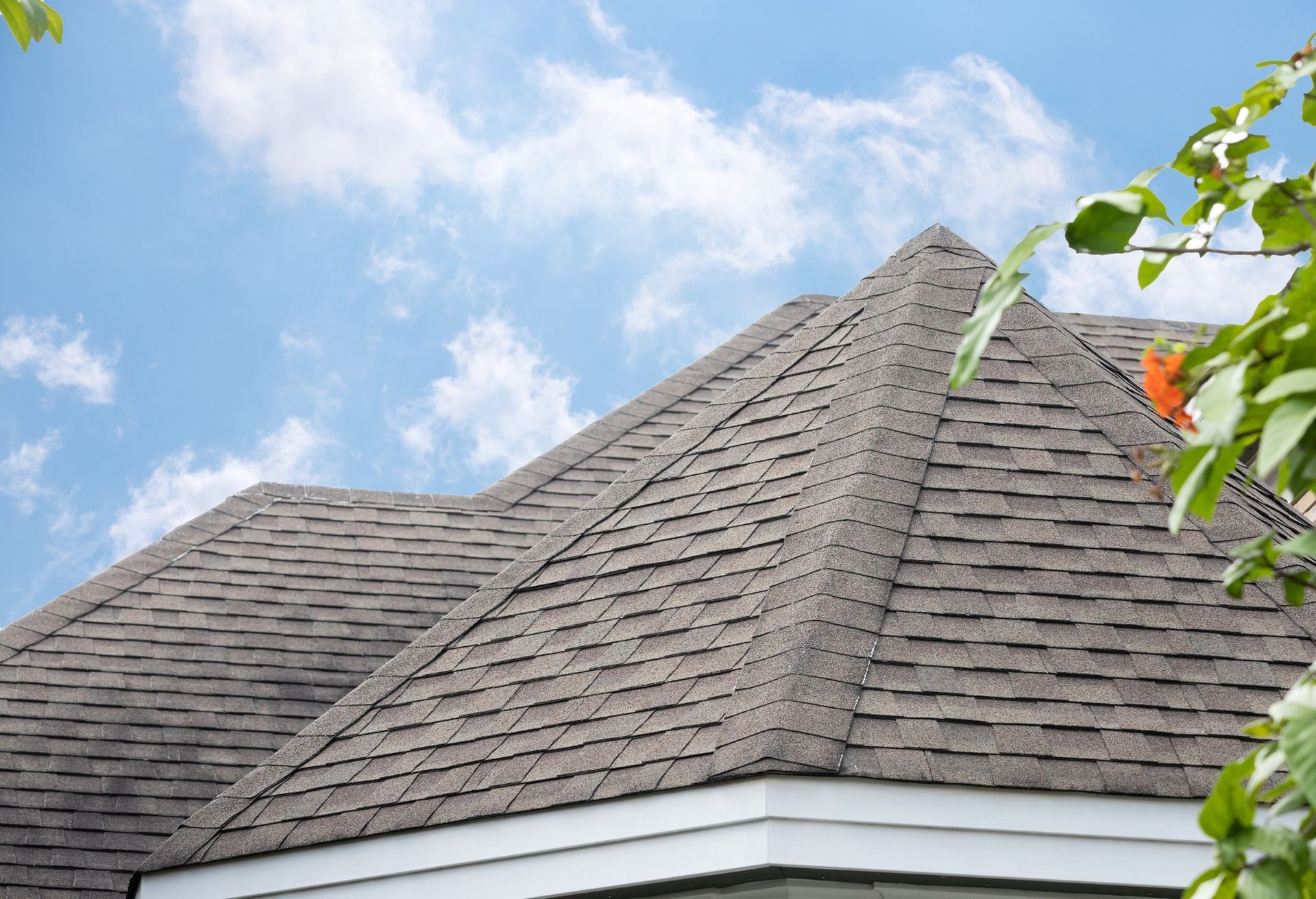 Gray asphalt shingle roof against a blue sky.
