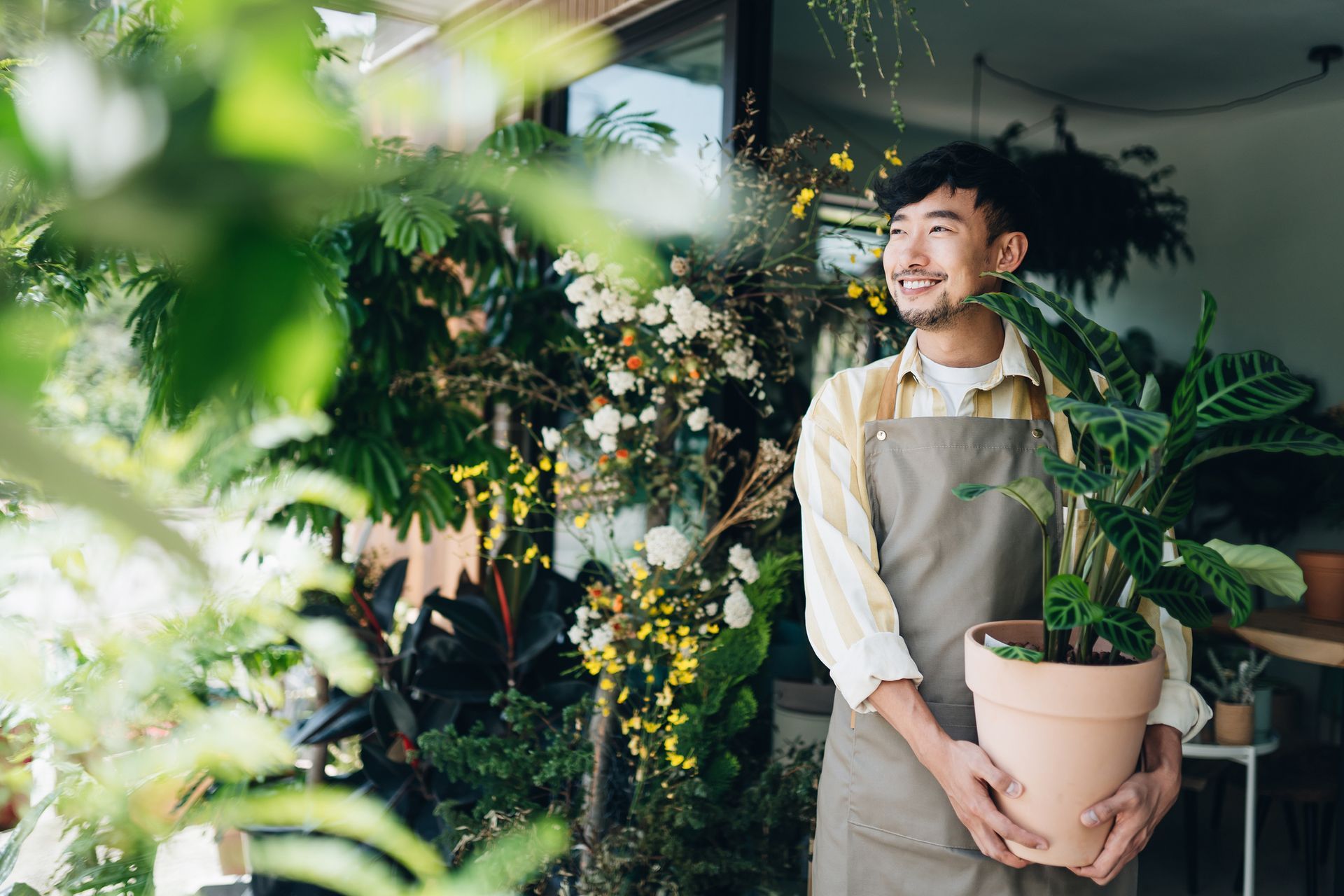 Man in apron holds potted plant, smiles, surrounded by greenery and flowers in a shop.