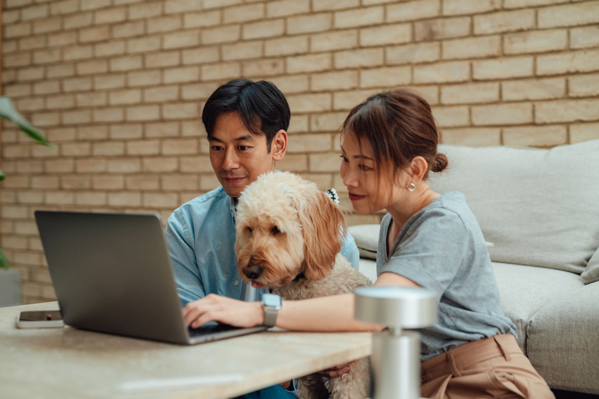 Couple and dog look at laptop in a home office setting.