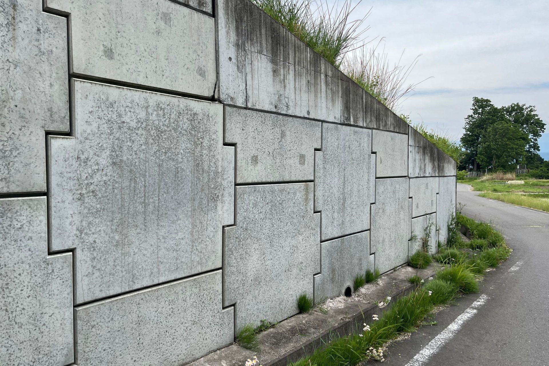 Concrete retaining wall alongside a road with vegetation at the top and base. Concrete retaining wall alongside a road with vegetation at the top and base.