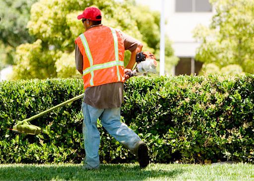 Discover the best lawn care schedule for Morris County, NJ. Learn when to fertilize, aerate, and pro