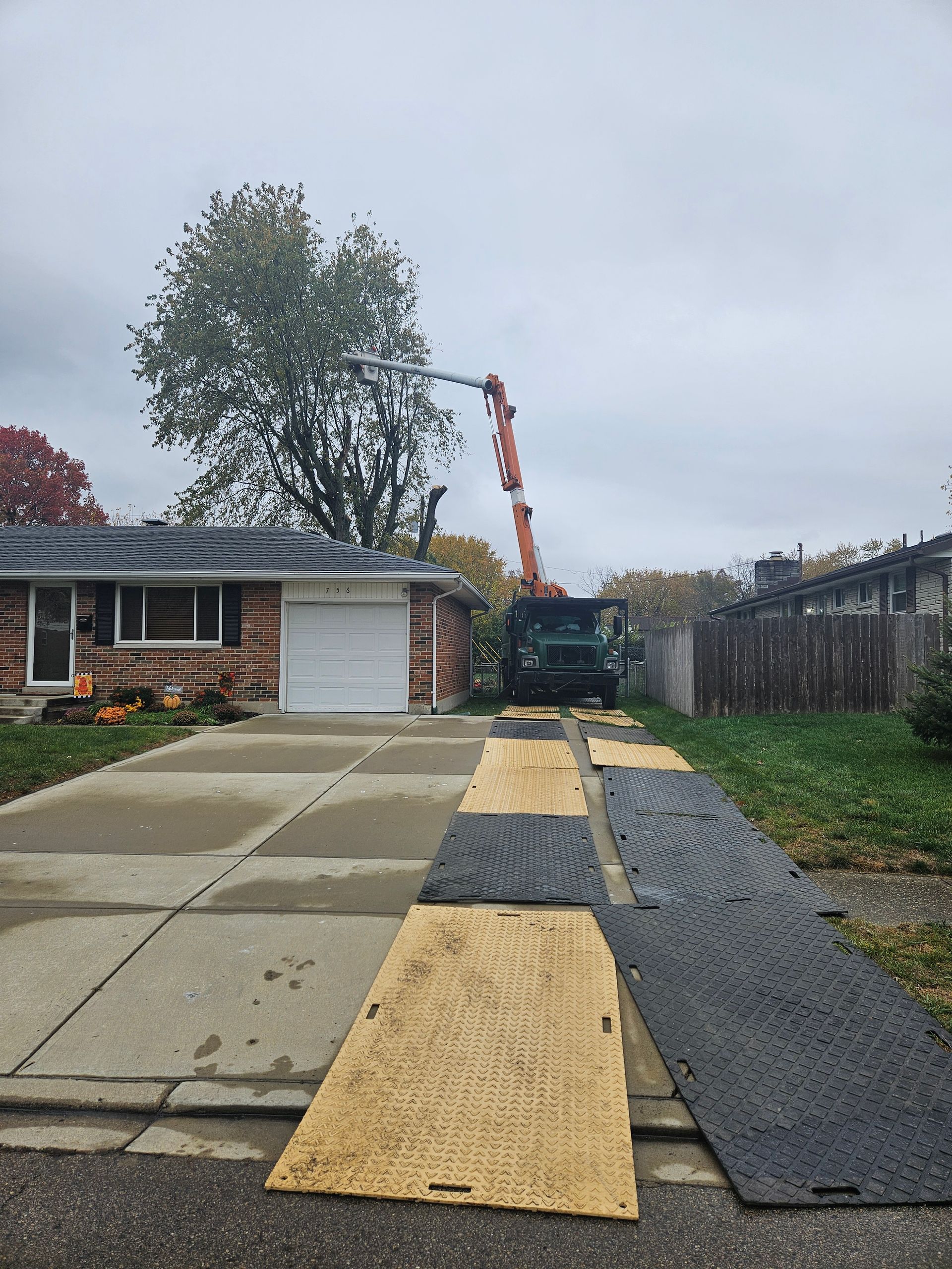 A man is climbing a tree in front of a house.