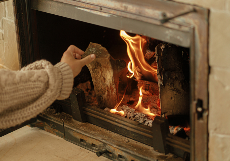 New Forest Wood burning stove