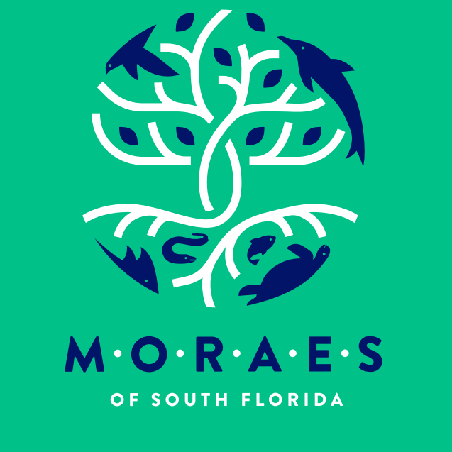 A blue and green logo for moraes of south florida