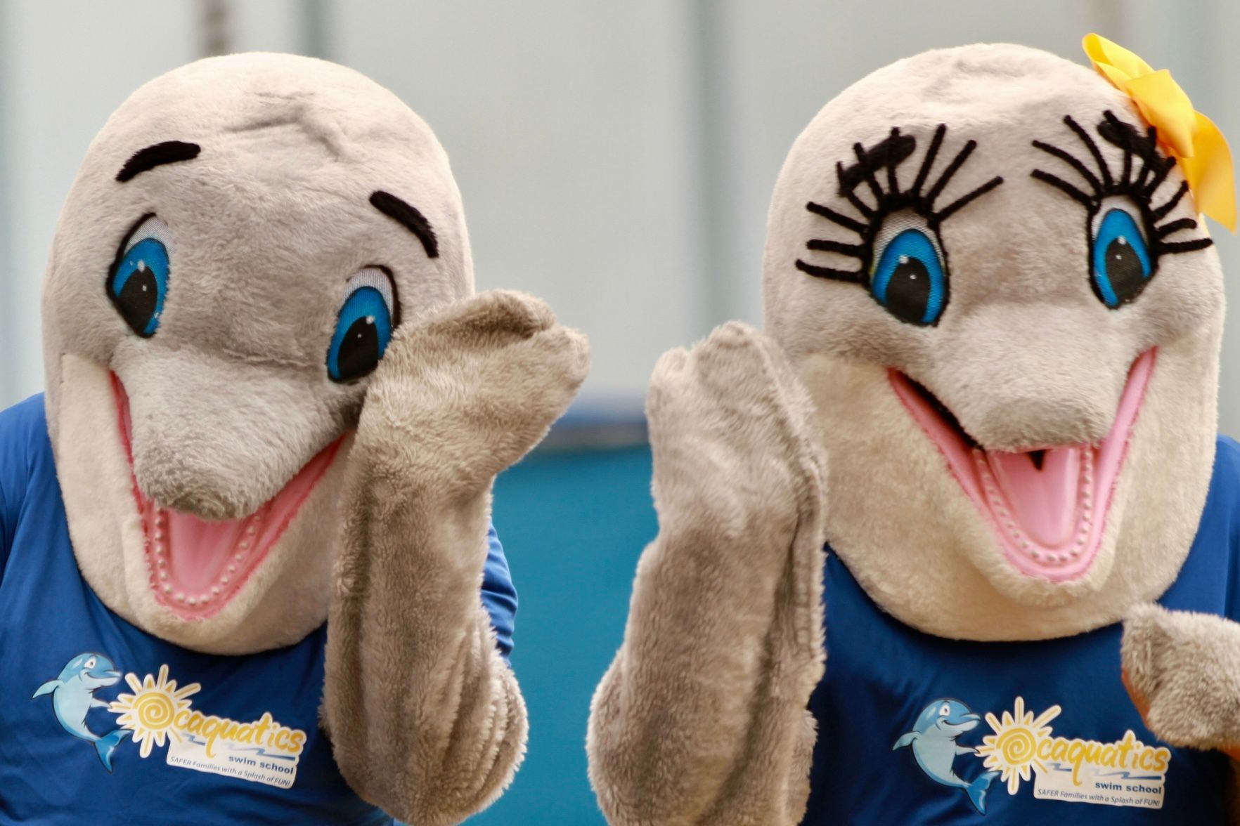 Dos mascotas delfines de Ocaquatics con camisas azules están una al lado de la otra.