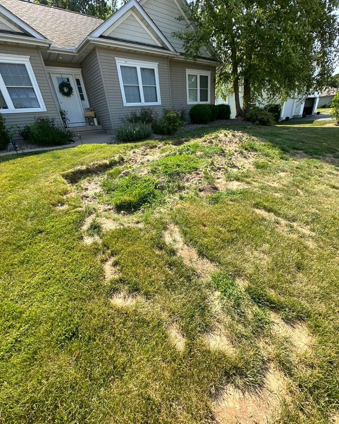 House with patchy, dry lawn and a dirt mound in the front yard.