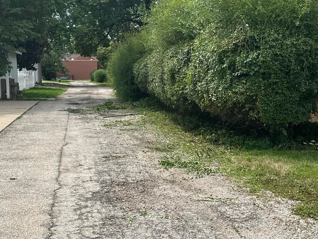 Concrete driveway lined with overgrown green bushes, debris scattered.