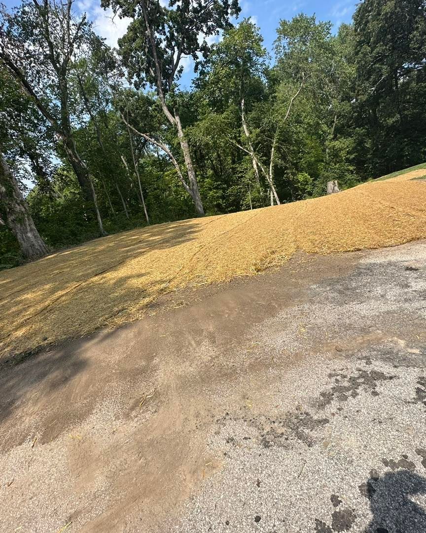 Slope covered in dry grass, bordered by a road, trees in the background. Sunny day.