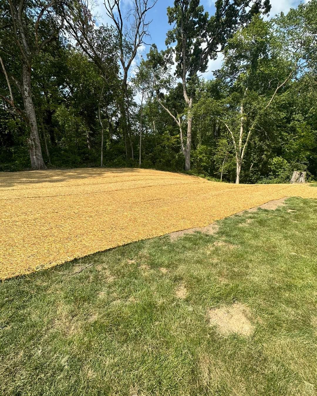 Yellow gravel covers a flat area in a grassy yard, next to a wooded area. Blue sky visible.