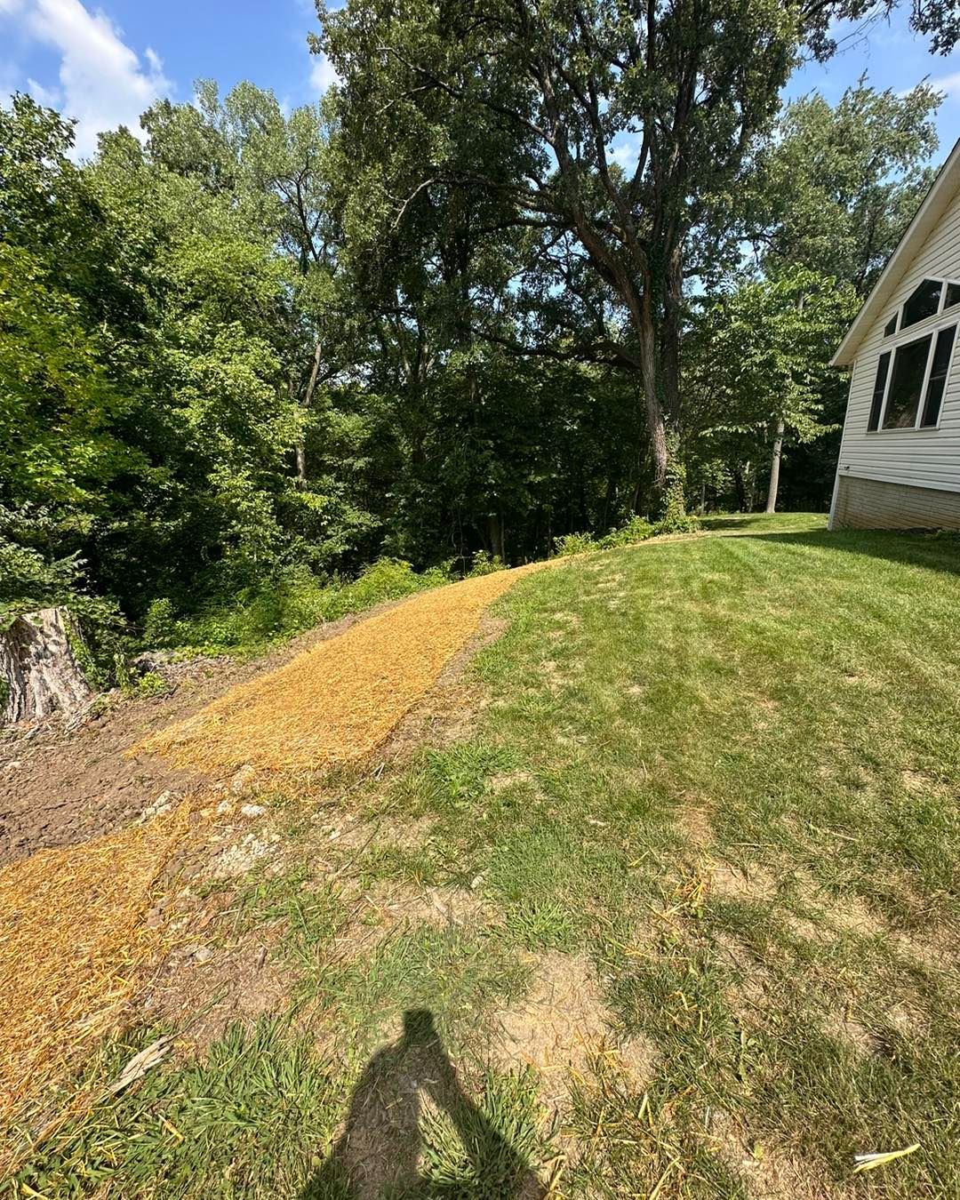 Grassy yard with gravel path leading to a wooded area, next to a house with large windows.
