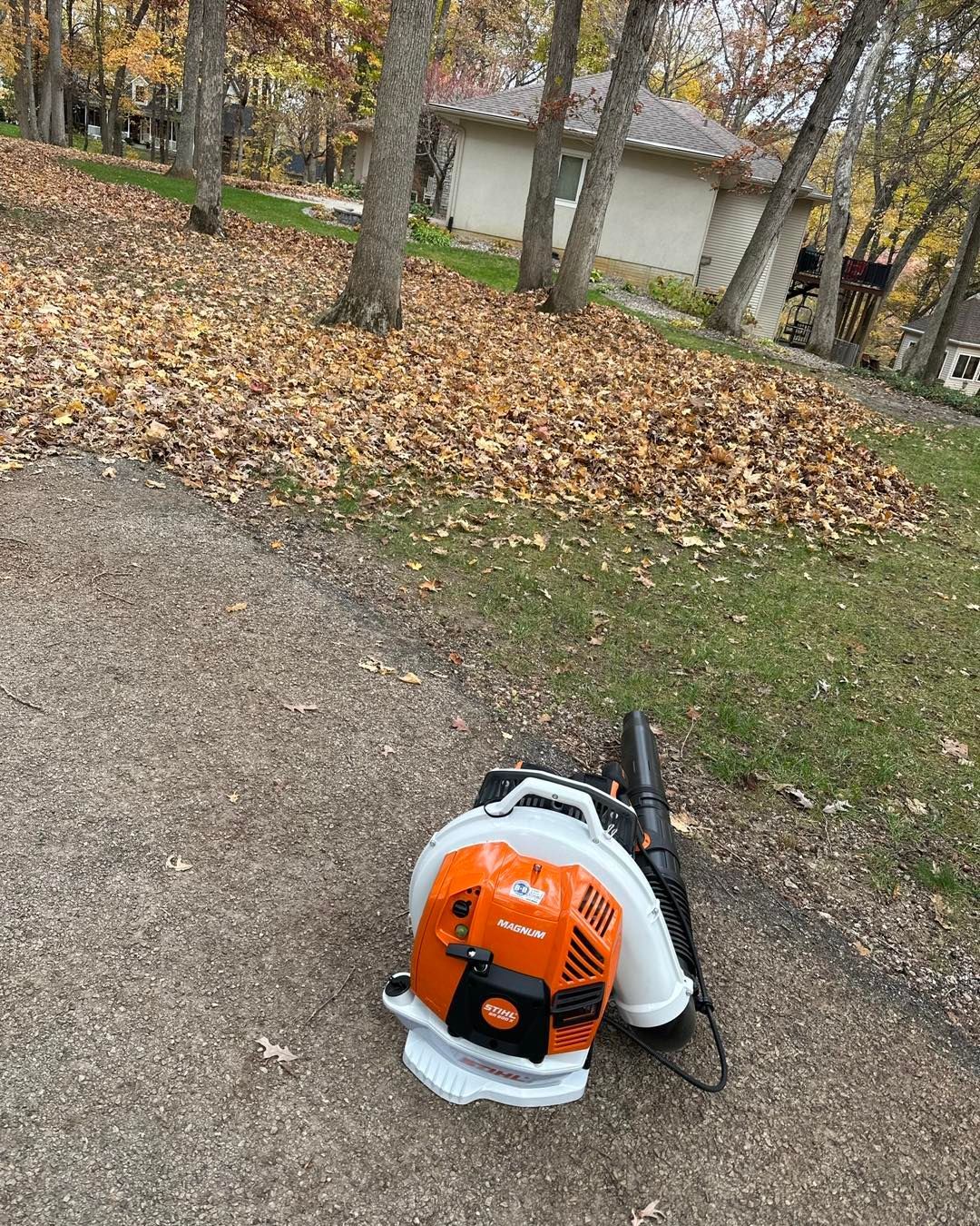 A leaf blower on a gravel path, piles of leaves in the background, a house in the distance.
