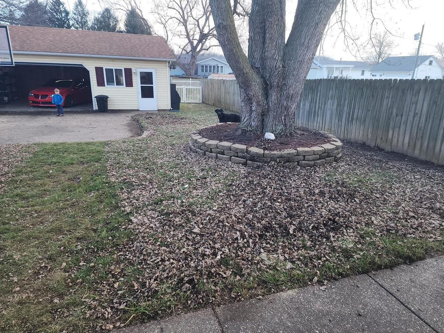 Yard with a tree surrounded by leaves, a garage, and a fence.