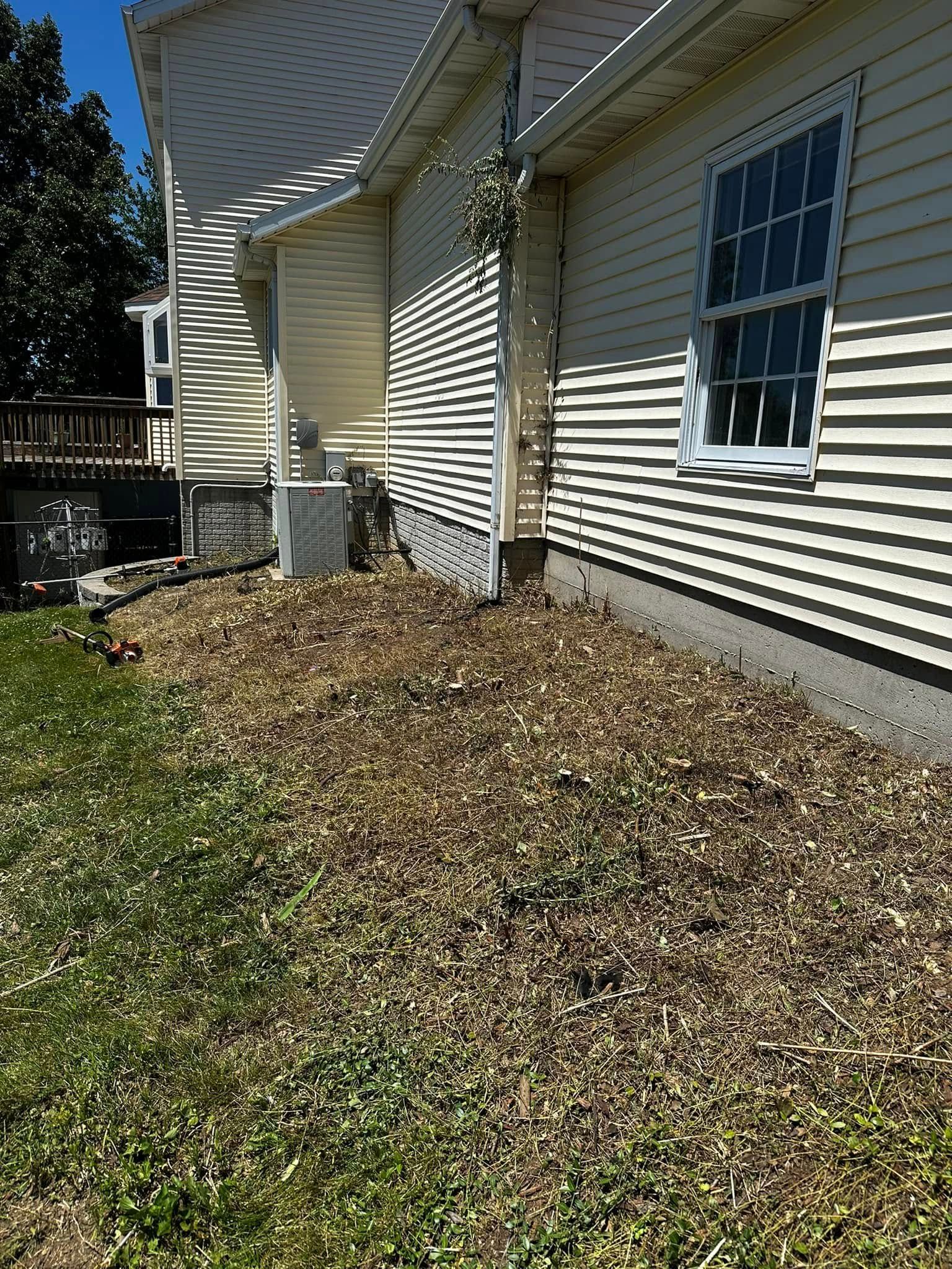 Side view of a house with light yellow siding and a window. Dry leaves cover the ground in front.
