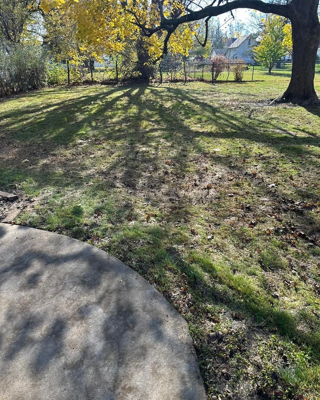 Shady backyard with circular patio edge, grass, trees, and sunlight.