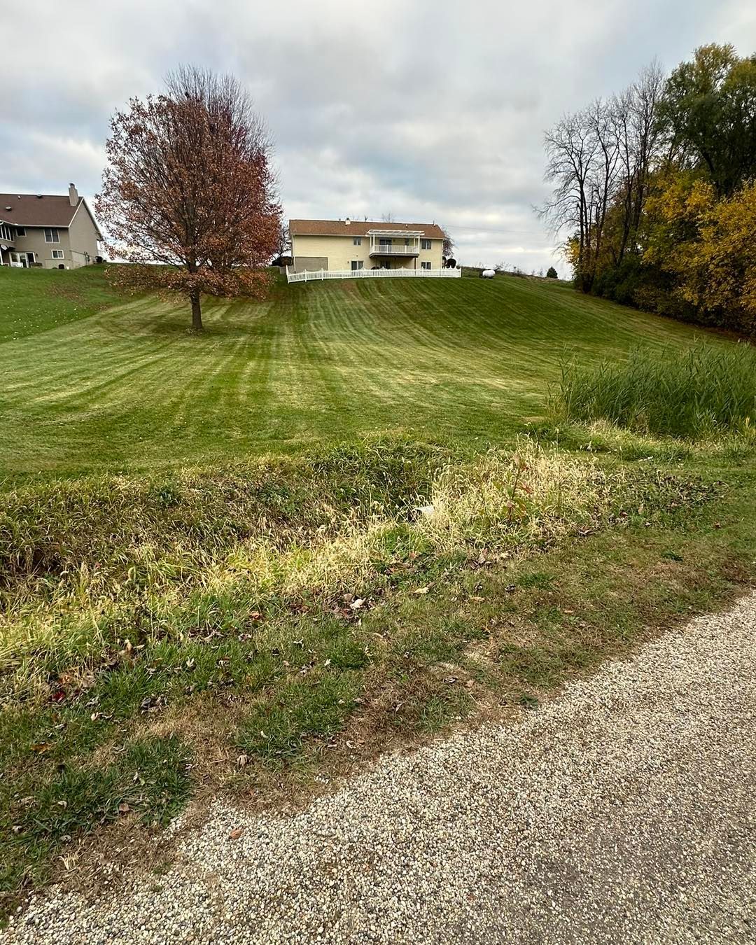 Green grassy hill with a house at the top and a tree with red leaves. Cloudy sky.