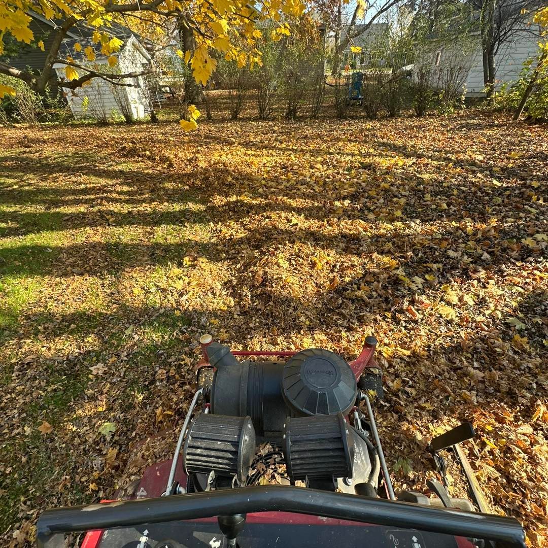 A leaf blower working on a yard covered in fallen leaves under a tree on a sunny day.