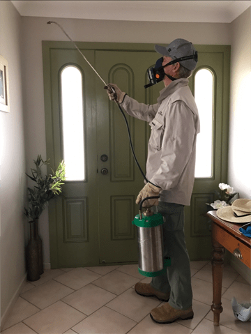 Pest Control inside the house —  Pest Control in Yamba, NSW