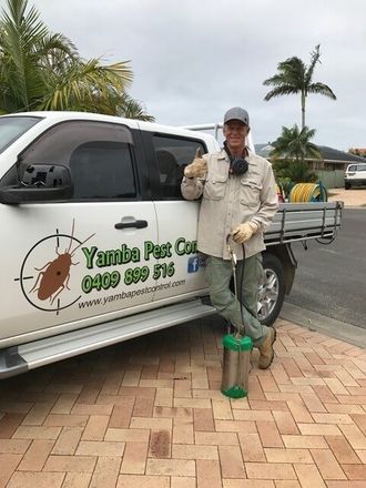Pest Control Service — Pest Control in Yamba, NSW