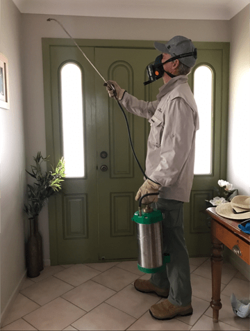 Pest Control inside the house — Yamba Pest Control in Yamba, NSW