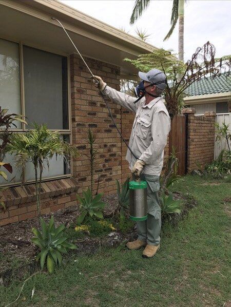 Pest Control outside the house — Yamba Pest Control in Yamba, NSW