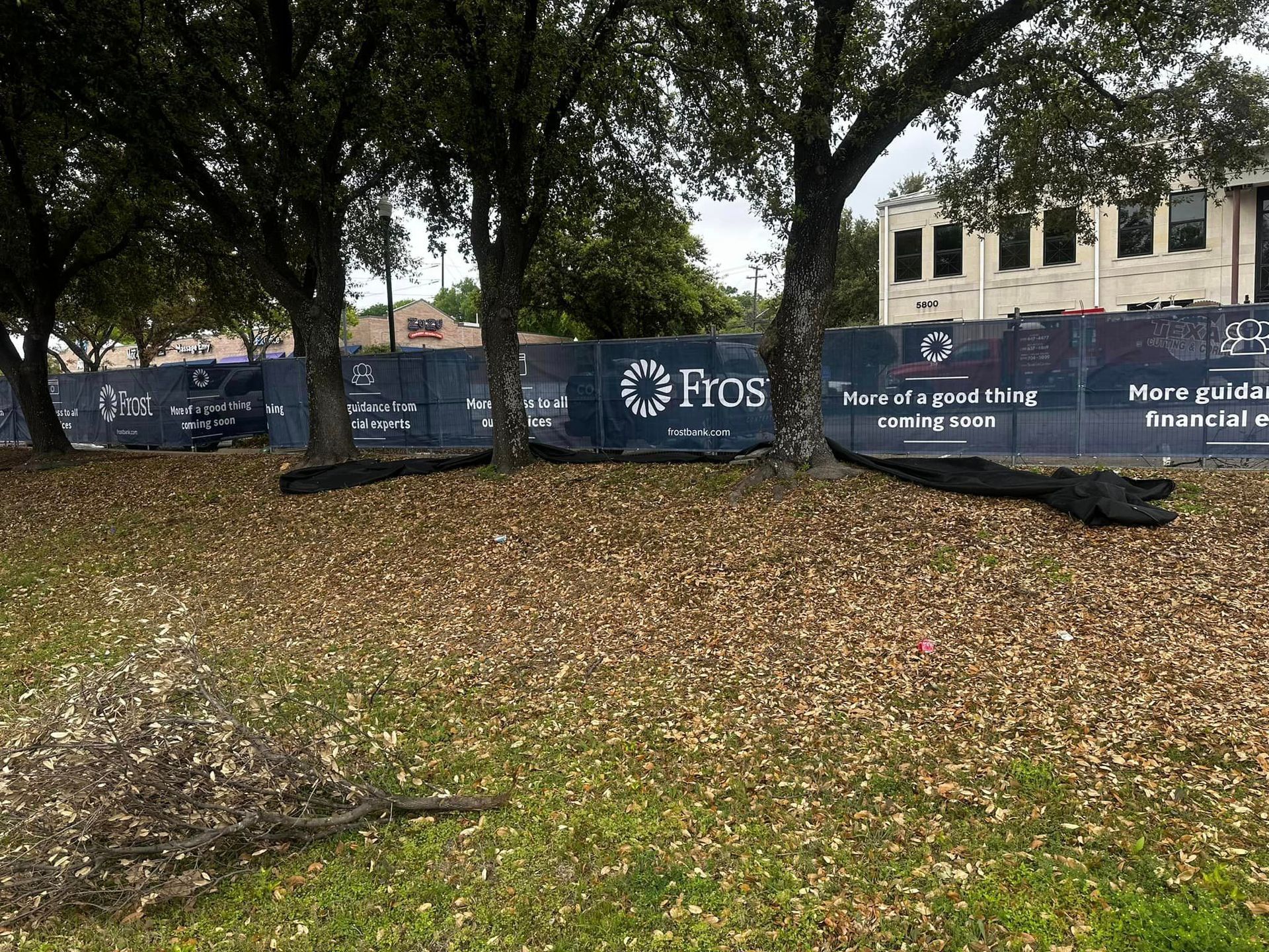 A construction site with a blue fence and trees in the background.