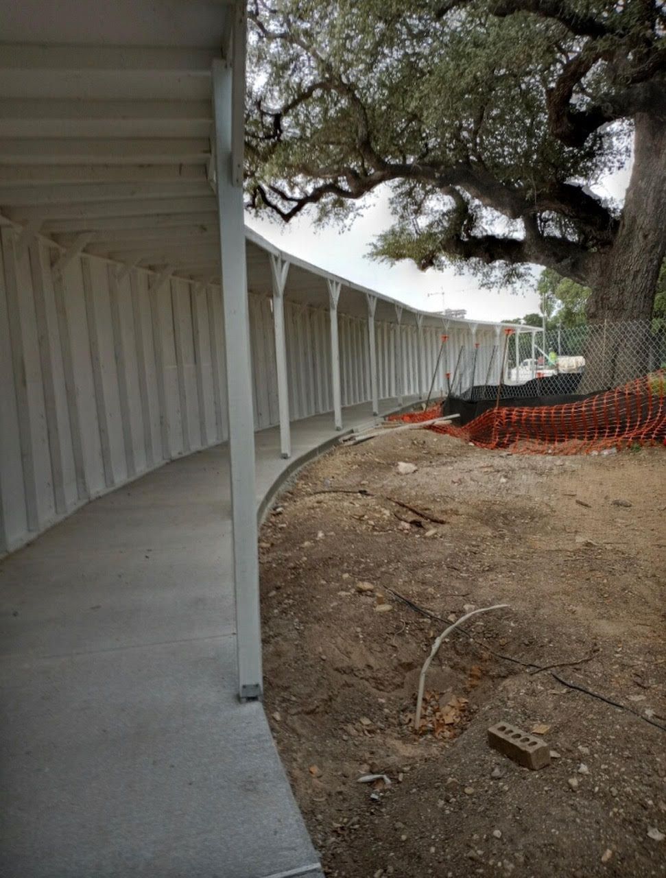 A safety pedestrian walkway with a tree in the background.