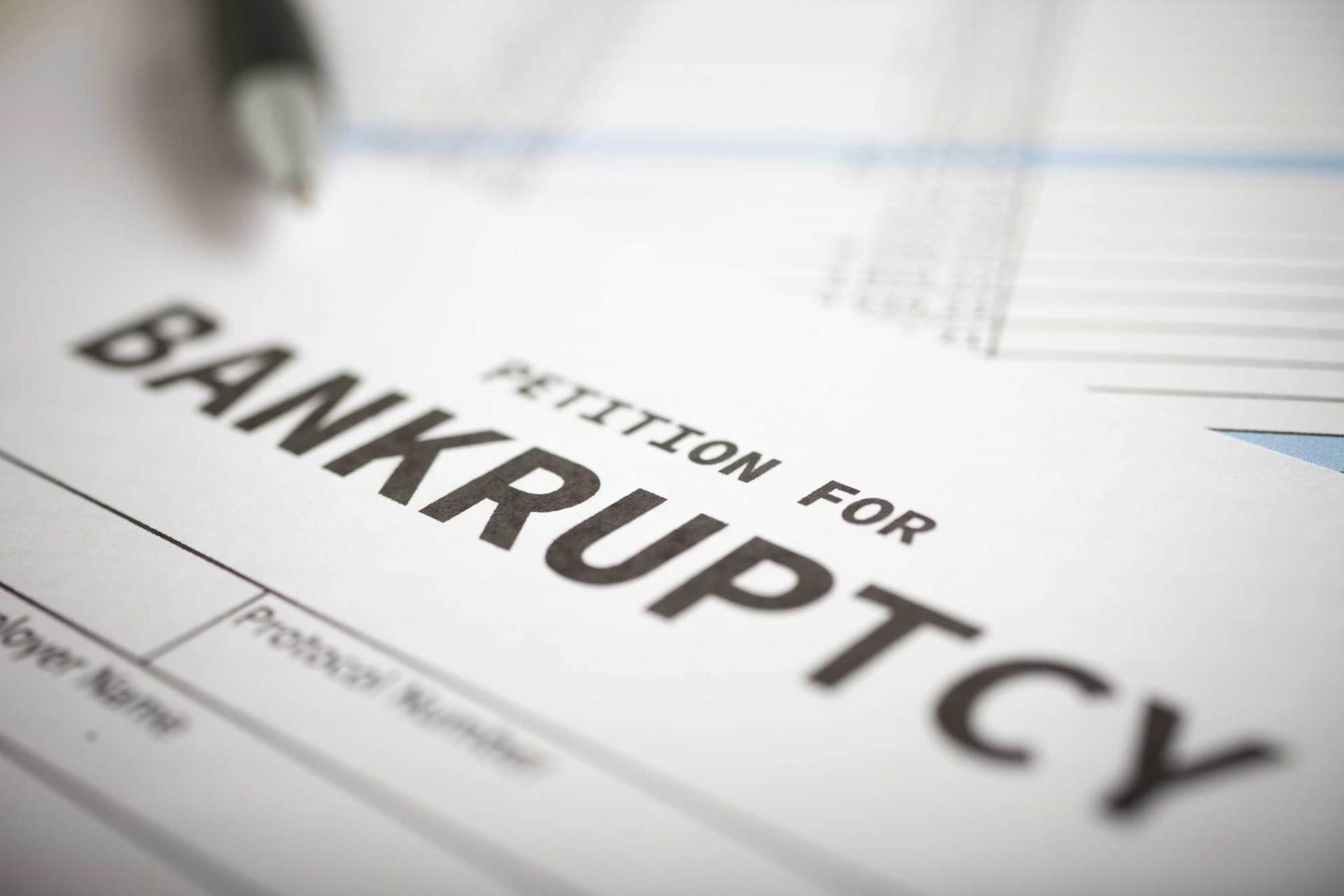 Petition for Bankruptcy — Greenville, SC — McMaster Law Firm LLC