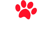 Logo Animal Food