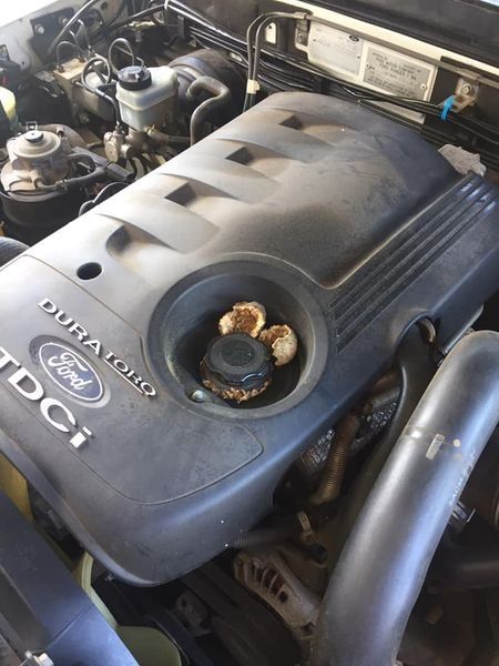 A Close Up of a Ford Tdci Engine — Coffs Coast Mobile Mechanical in Coffs Coast, NSW