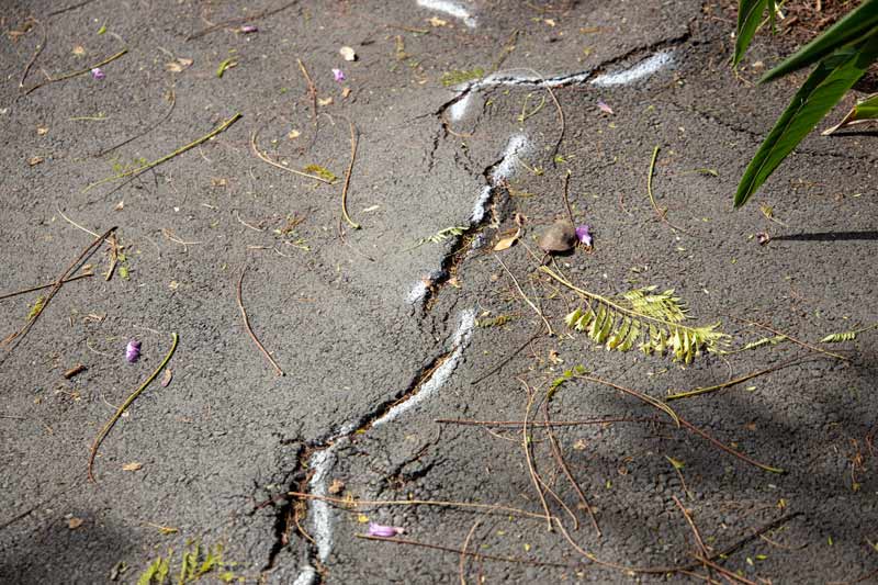 scabbling in the road