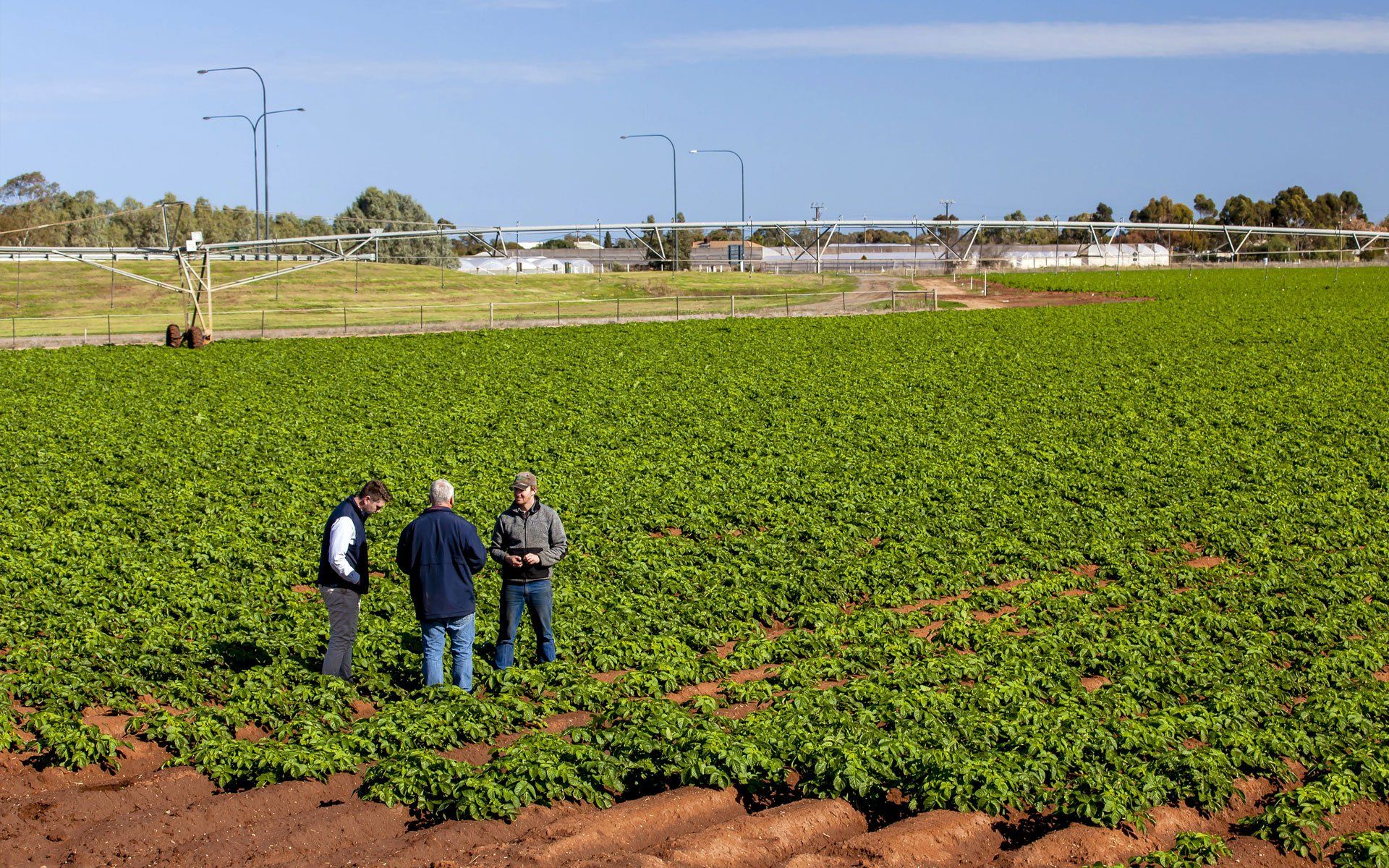 Vermiculture & Vermicompost Australia | Australian Vermiculture