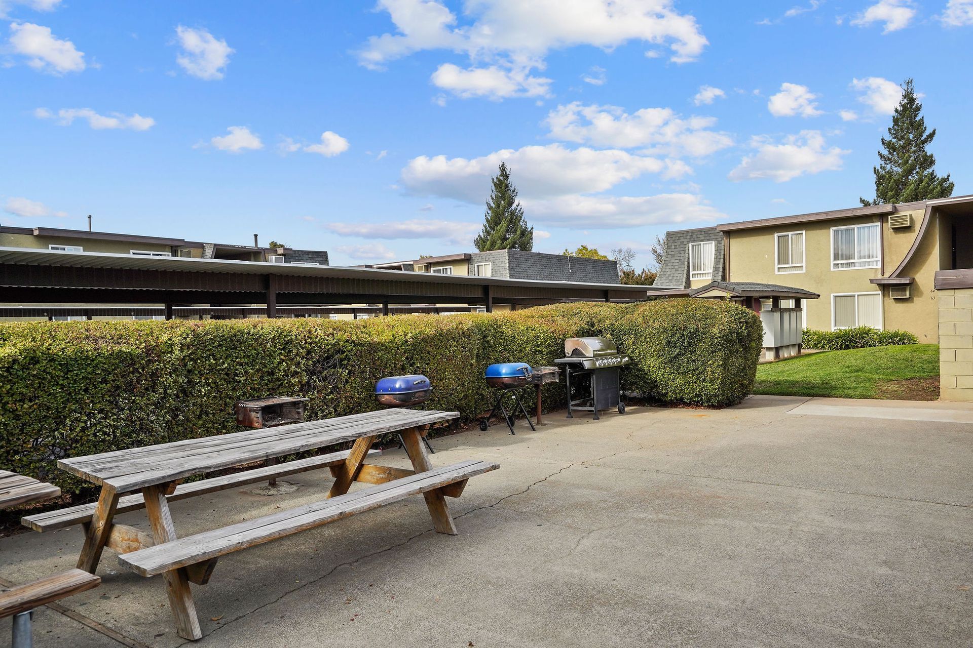 Outdoor picnic area with benches, grills, and hedges beside apartment buildings under a blue sky
