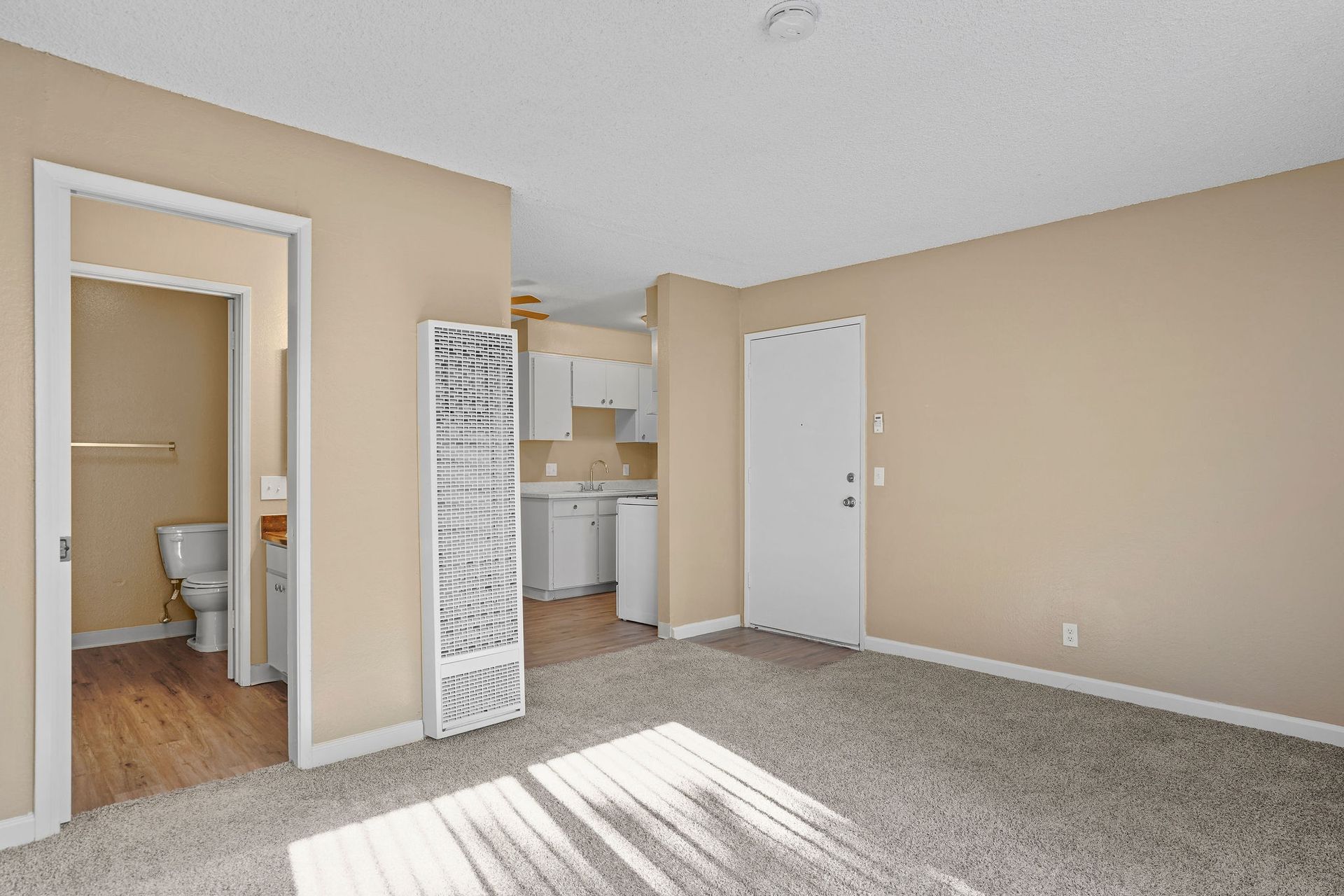 Empty beige bedroom with carpet, closet, open bathroom door, and sunlight on the floor