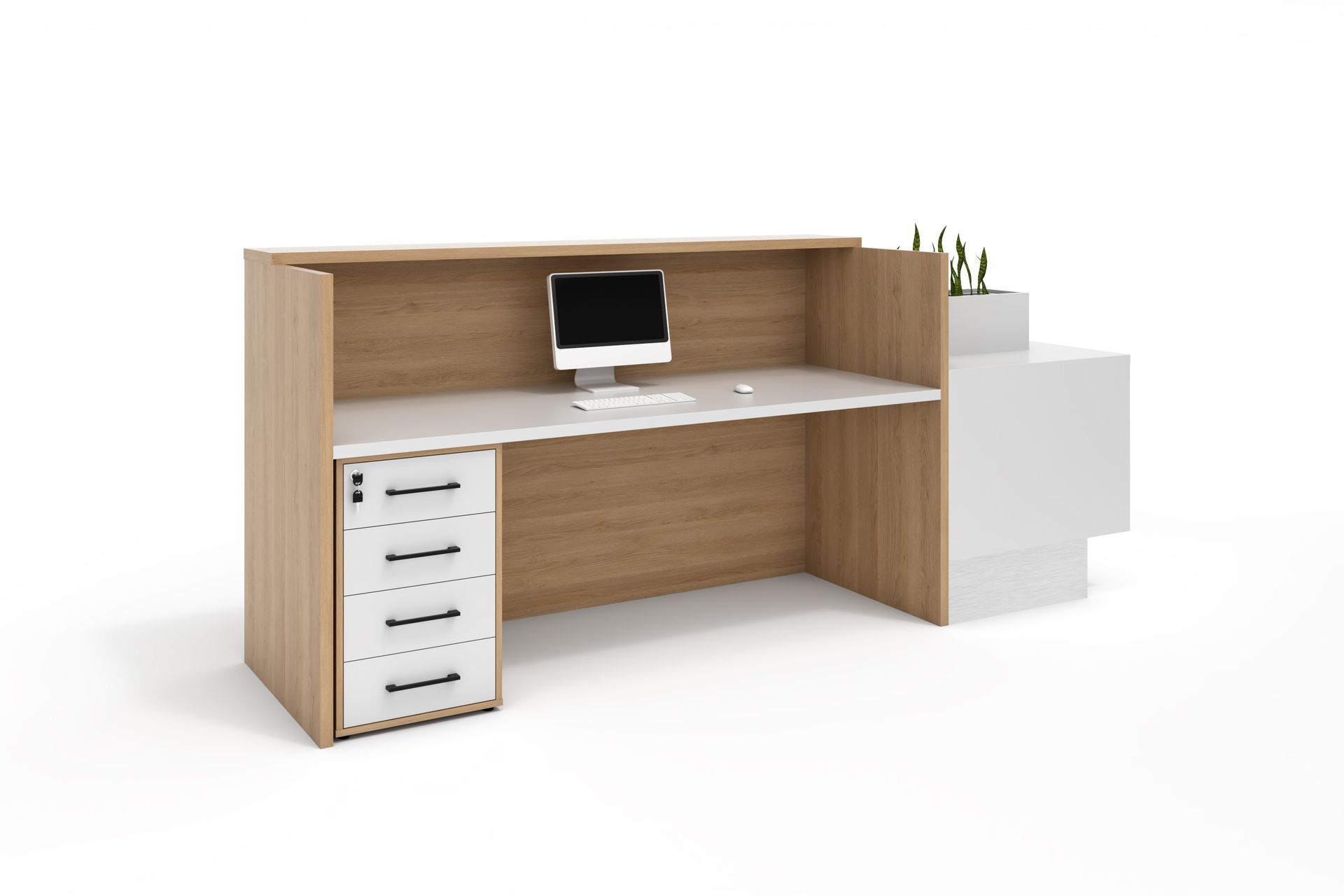 Zoe Reception Counter