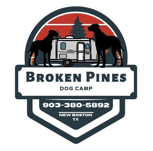 Logo for Broken Pines Dog Camp in New Boston, TX, featuring two dogs and a camper van against a stylized forest background.