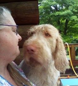 Have you ever looked into a dog’s eyes and felt they truly understood you? Meet the soulful, gentle 