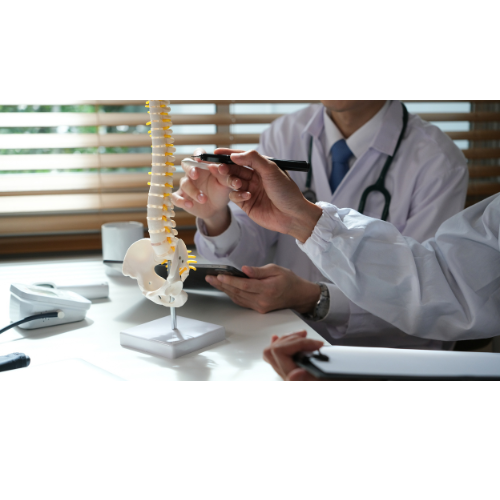 A group of doctors are looking at a model of a spine.