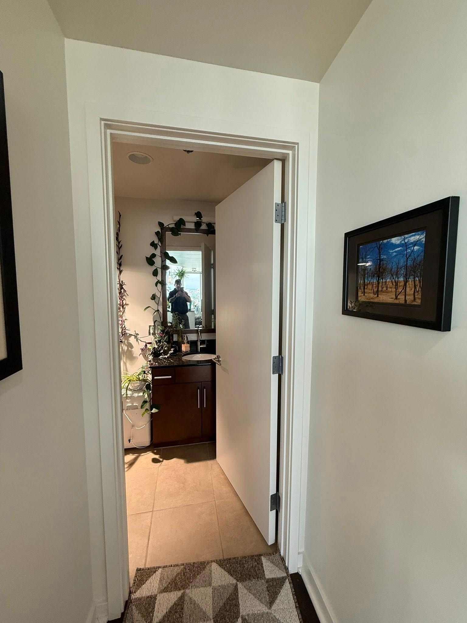 Hallway leading to a bathroom. Doorway has white trim, open door. Small painting on wall.