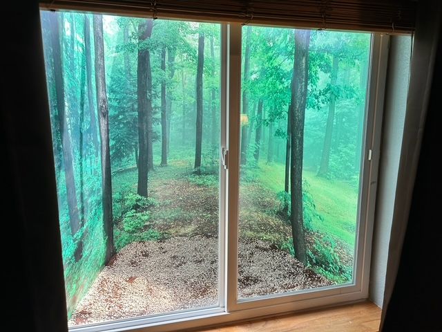 Window with a forest scene view, green trees, brown ground, white frame, and brown window shade.