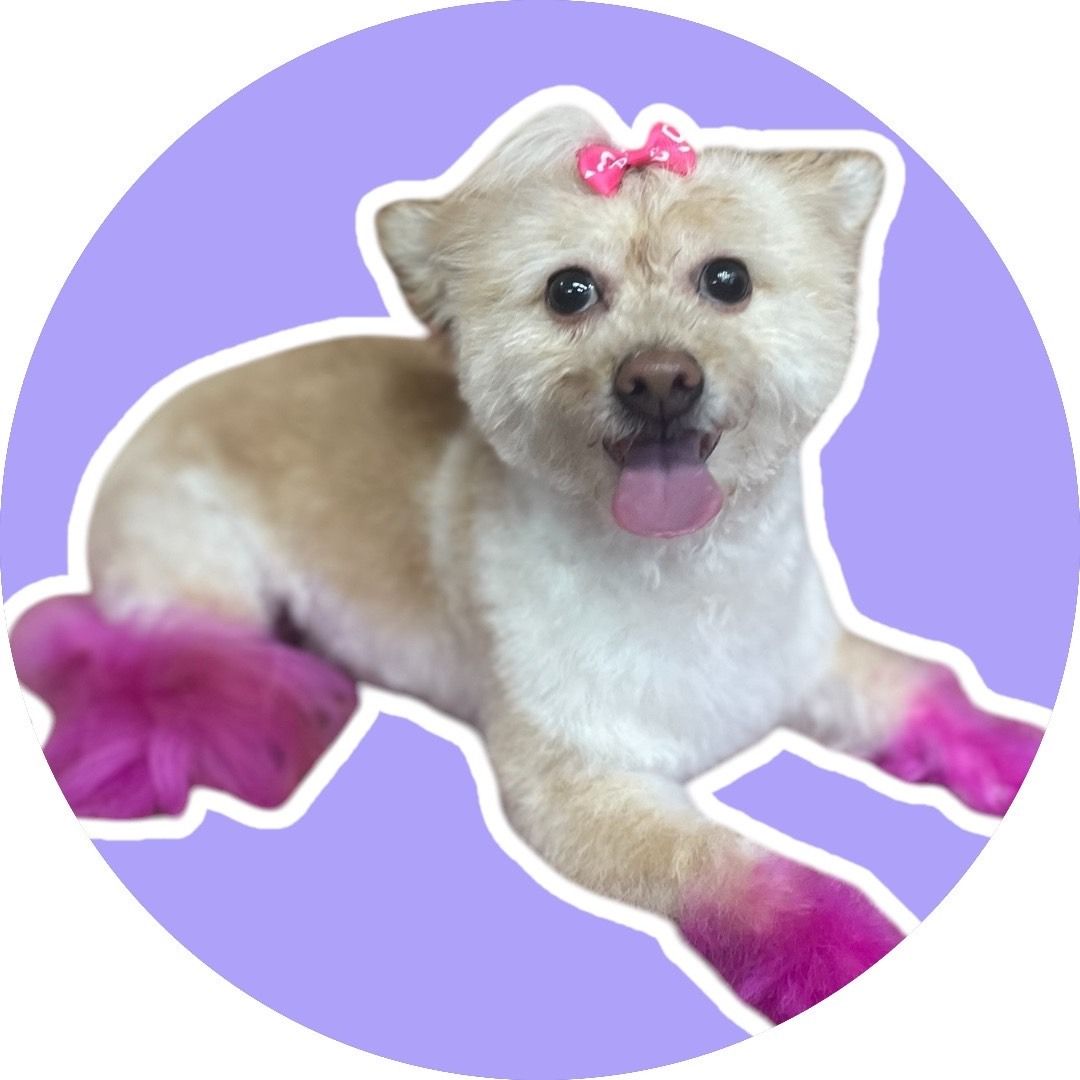 Dog with pink accents, a pink bow, and tongue out, on a purple circular background.