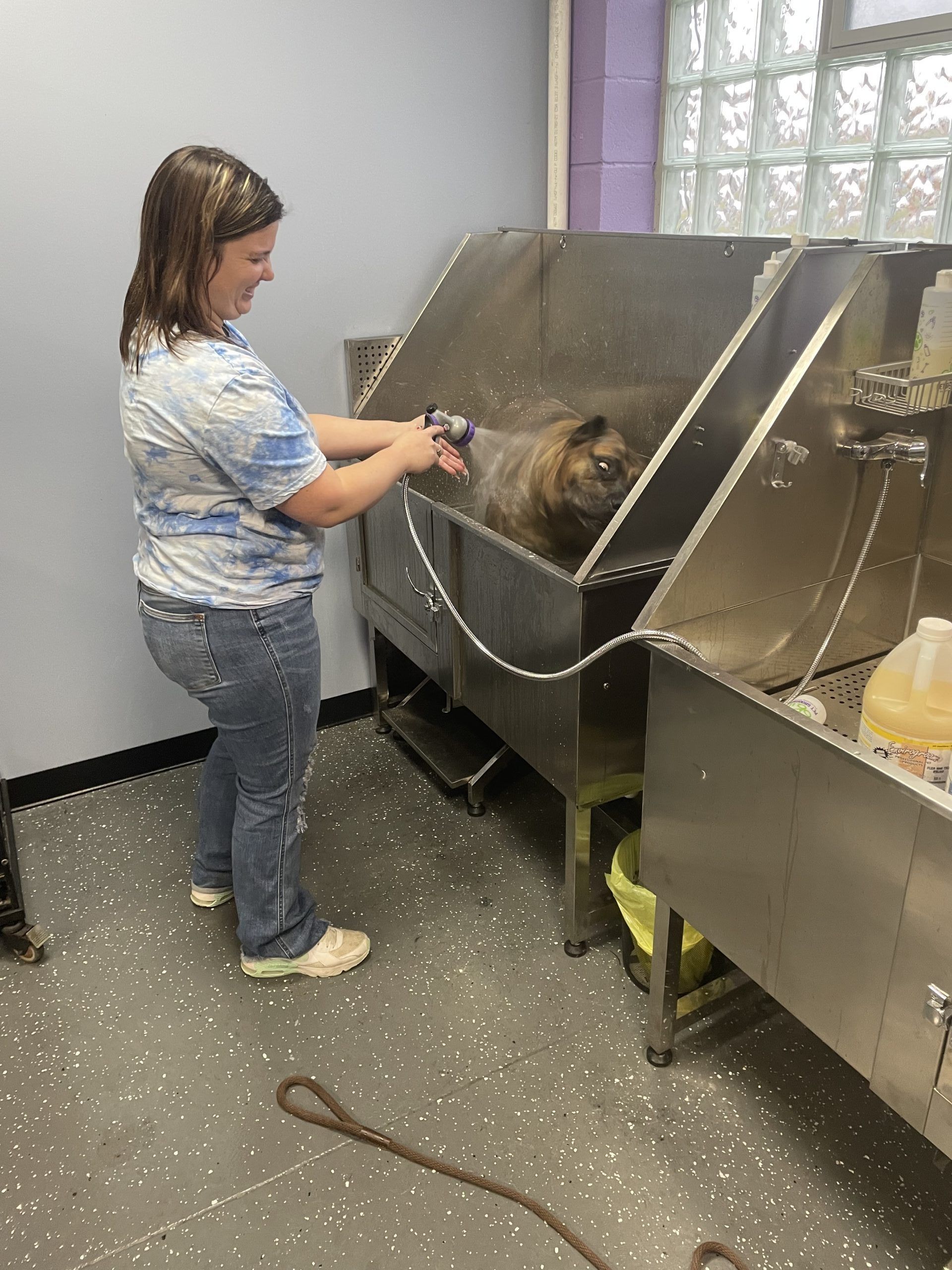 Woman washing a dog in a stainless steel tub at a pet groomer.